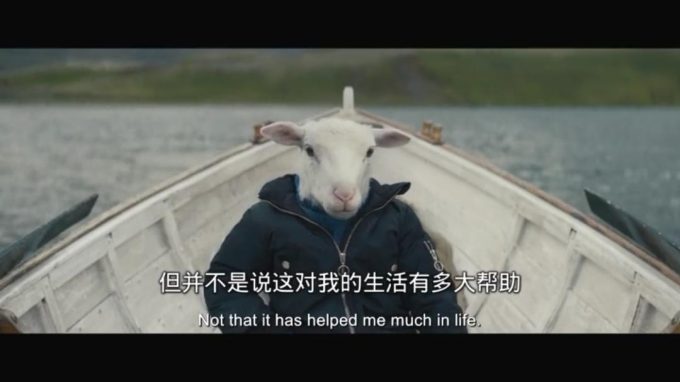 羊崽